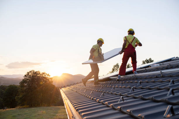 Best Roof Moss and Algae Removal  in Julian, CA